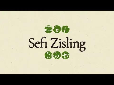 Sefi Zisling announces new album with single titled 'Brothers'